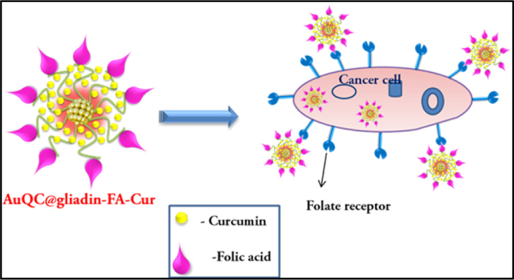 Gliadin-protected gold quantum clusters for nanobiomedical applications.