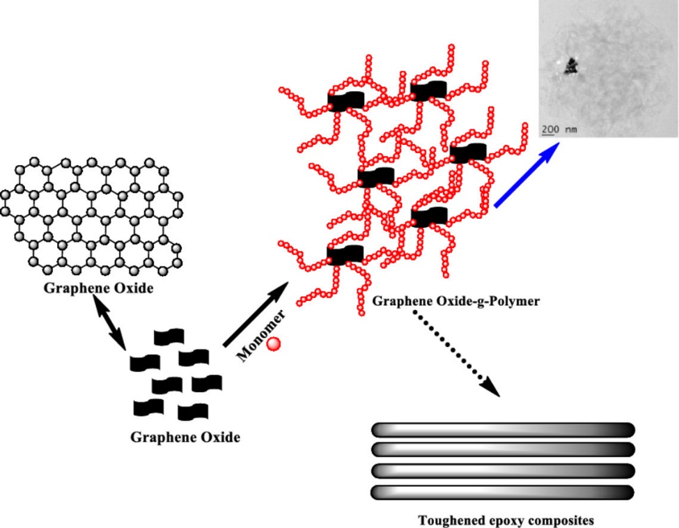 Polymer–graphene hybrid structures for toughening epoxy thermosets.